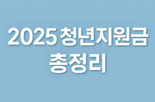 2025 청년지원금 총정리｜놓치면 손해인 정책 4가지