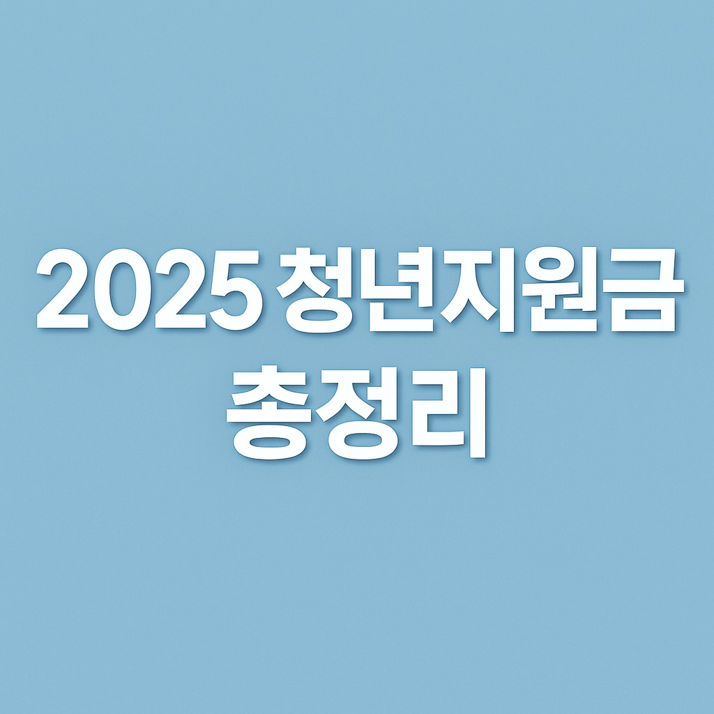2025 청년지원금 총정리｜놓치면 손해인 정책 4가지